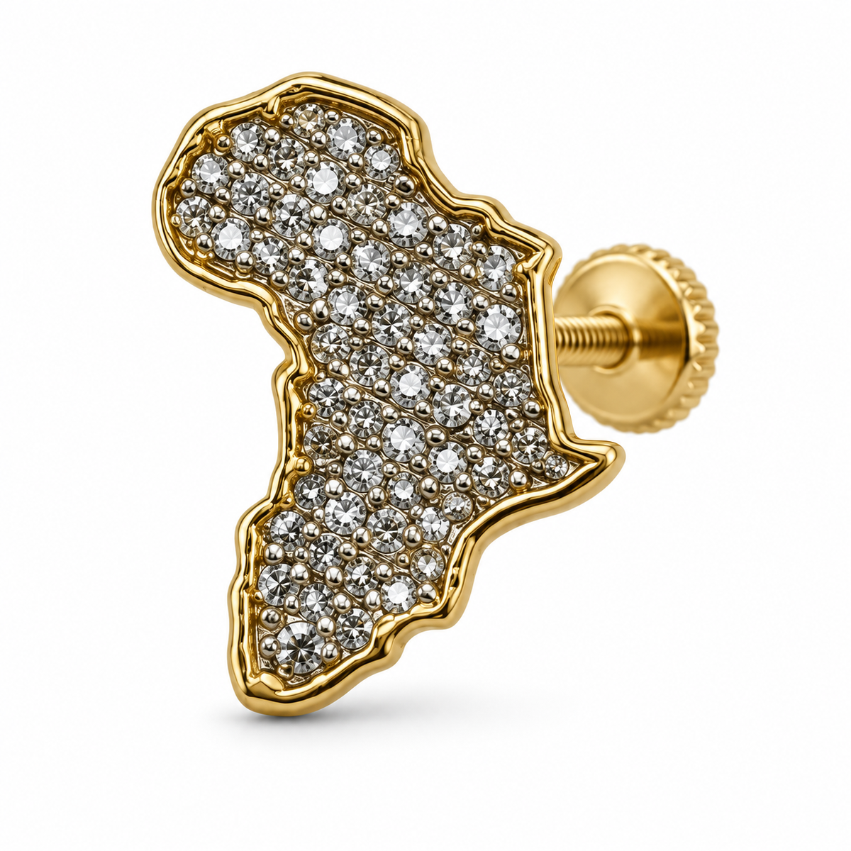 10K Gold Diamond Africa Earrings 10mm (Screwback) - macro detail