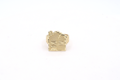 10k Real Gold Trap house Stylish Ring -STF DIAMONDS